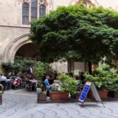  Sproing Pics (87/123)